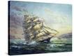 Stretched Canvas Print