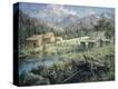 Stretched Canvas Print