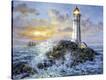Stretched Canvas Print