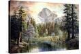 Stretched Canvas Print