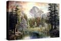 Stretched Canvas Print
