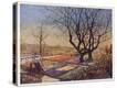 Stretched Canvas Print