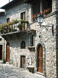 Olive Groves, Cercina, Firenze Province, Firenze, Tuscany, Italy-Nico Tondini-Photographic Print
