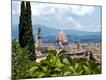 Photographic Print