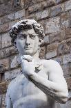 The David, by Michelangelo, Palazzo Vecchio-Nico Tondini-Photographic Print