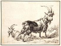 Shepherd and Dog-Nicolaes Pietersz. Berchem-Giclee Print