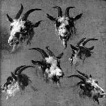 Six Studies of Goat Heads-Nicolaes Pietersz. Berchem-Giclee Print