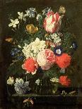 A Tulip, Carnations, and Morning Glory in a Glass Vase, 17th Century-Nicolaes van Veerendael-Framed Premier Image Canvas