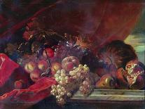 Still Life of Fruit (Oil on Canvas)-Nicolas de Largilliere-Giclee Print