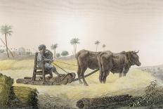 Harvesting Corn, Vol.Ii Arts and Trades of Description of Egypt, Pub., 1822-Nicolas Jacques Conte-Framed Giclee Print