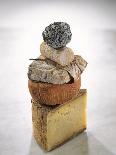 Still Life with Various Types of French Cheese-Nicolas Leser-Photographic Print