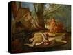 Stretched Canvas Print