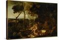 Stretched Canvas Print