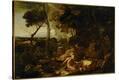 Stretched Canvas Print