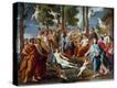 Stretched Canvas Print