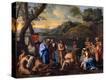 Stretched Canvas Print