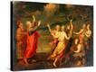 Stretched Canvas Print