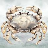 Cape Cod Crab-Nicole DeCamp-Art Print