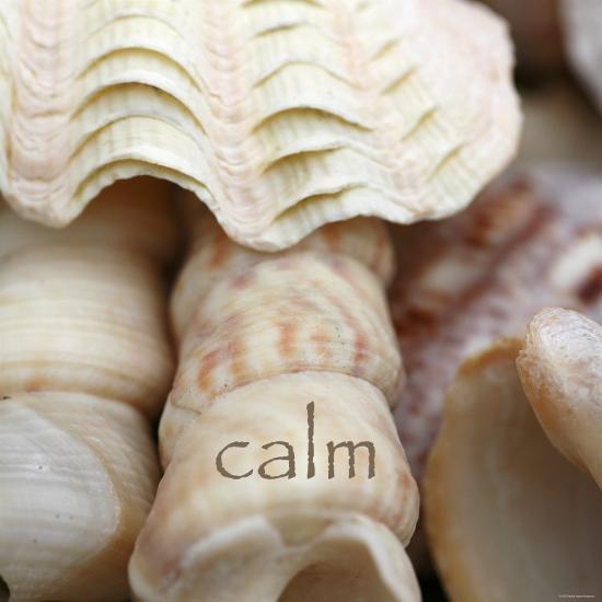 Photo, , large
