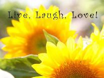 Live Laugh Love: Sunflower-Nicole Katano-Photo