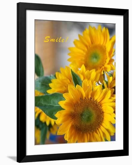 Photo, , large