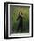 Nicolo Paganini, after 1830-Georg Friedrich Kersting-Framed Giclee Print