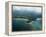 Nicoya Peninsula from the Air, Costa Rica, Central America-R H Productions-Framed Premier Image Canvas