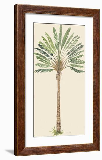Nicoya-The Vintage Collection-Framed Giclee Print