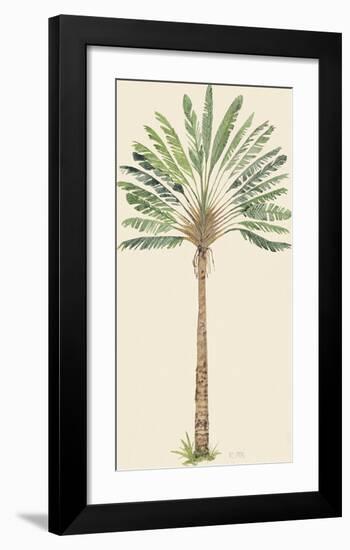 Nicoya-The Vintage Collection-Framed Giclee Print