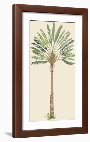 Nicoya-The Vintage Collection-Framed Giclee Print