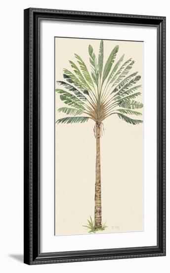 Nicoya-The Vintage Collection-Framed Giclee Print