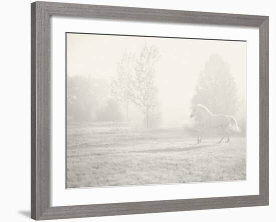 Niebla Blanco-Shana Rae-Framed Giclee Print