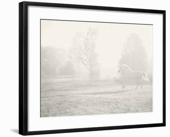 Niebla Blanco-Shana Rae-Framed Giclee Print