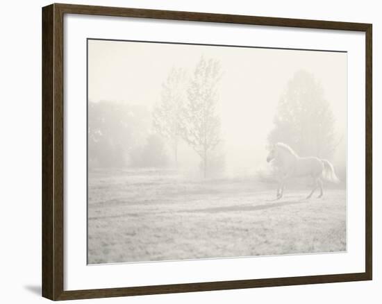 Niebla Blanco-Shana Rae-Framed Giclee Print