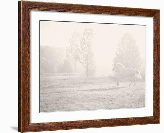 Niebla Blanco-Shana Rae-Framed Giclee Print