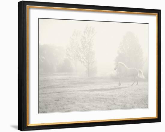 Niebla Blanco-Shana Rae-Framed Giclee Print