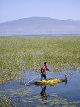 Ethiopia, Lake Awassa; a Young Boy Punts a Traditional Reed Tankwa Through the Reeds-Niels Van Gijn-Photographic Print