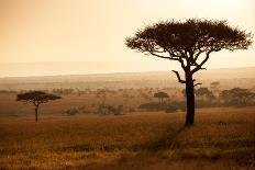 Kenya, Mara North Conservancy. a Young Giraffe with Never Ending Plains of Maasai Mara Behind-Niels Van Gijn-Photographic Print