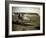 Nieuport Biplane, Aisne, France, 1917-Fernand Cuville-Framed Giclee Print