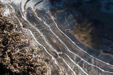 Puddles in Deep Tractor Ruts Frozen on a Cold Bright Winter Morning in January, West Berkshire-Nigel Cattlin-Framed Premier Image Canvas