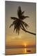Premium Photographic Print
