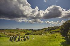 Drombeg stone circle, near Clonakilty, County Cork, Munster, Republic of Ireland, Europe-Nigel Hicks-Photographic Print