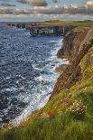 The Cliffs of Moher, near Lahinch, County Clare, Munster, Republic of Ireland, Europe-Nigel Hicks-Photographic Print