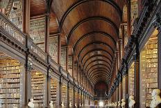 The Long Room in the library of Trinity College, Dublin, Republic of Ireland, Europe-Nigel Hicks-Photographic Print