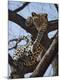 Premium Photographic Print