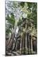 Premium Photographic Print