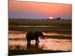 Photographic Print