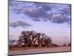 Photographic Print