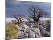 Photographic Print