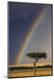 Premium Photographic Print